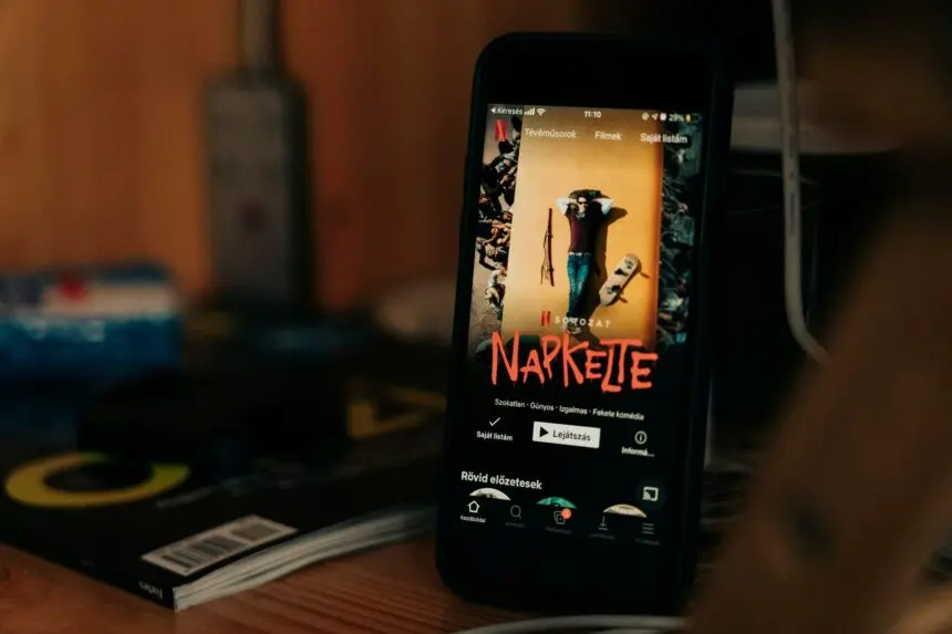 Netflix app interface